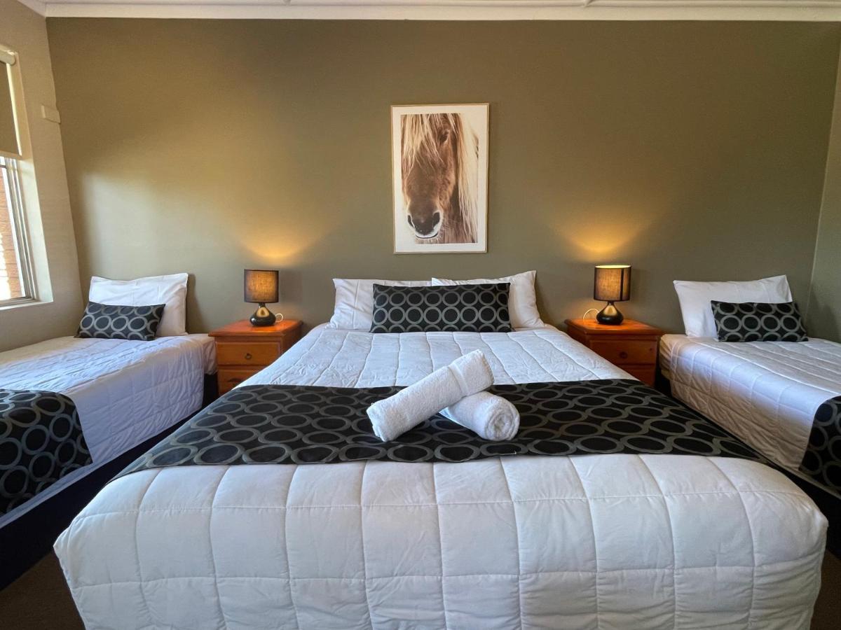 Quirindi Sunflower Motor Inn Kültér fotó